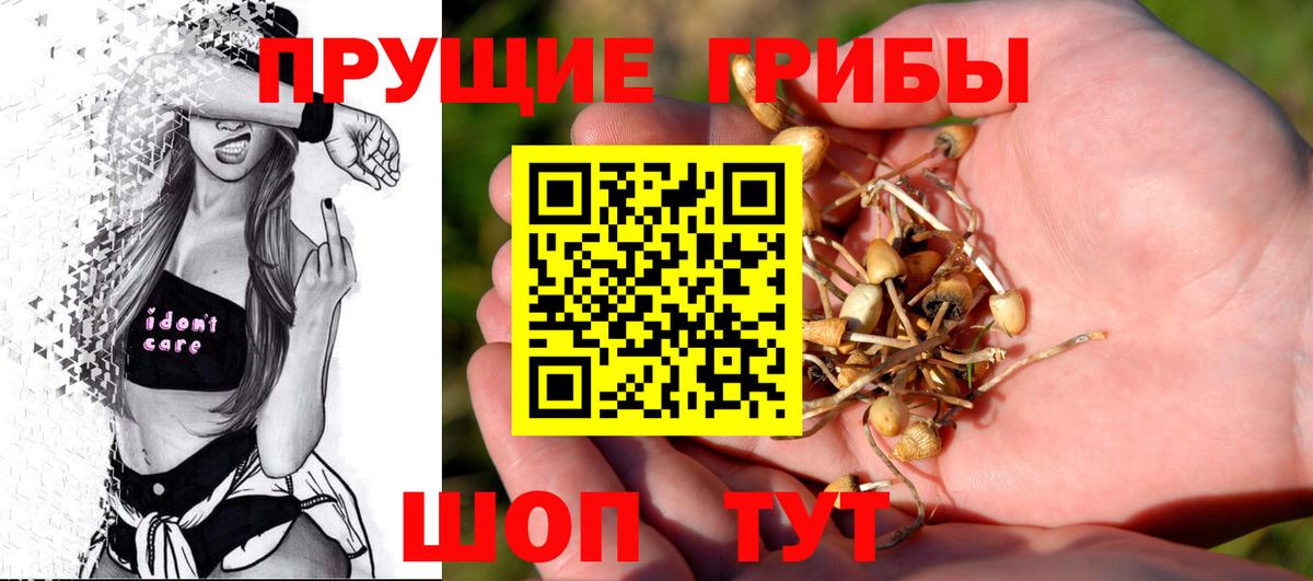 Галлюциногенные грибы Psilocybe Нурлат