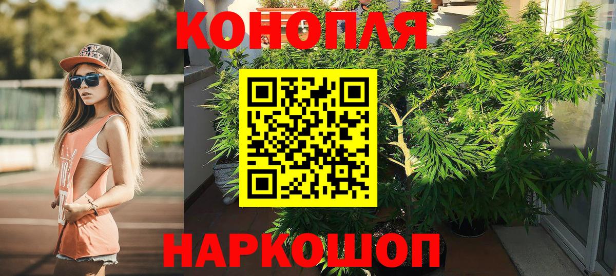 Шишки марихуана AK-47 Нурлат